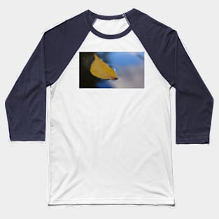 Yellow Leaf Floating on Water Baseball T-Shirt